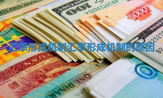 汇率形成机制 汇率形成机制的原因