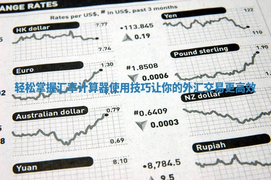 轻松掌握汇率计算器使用技巧让你的外汇交易更高效